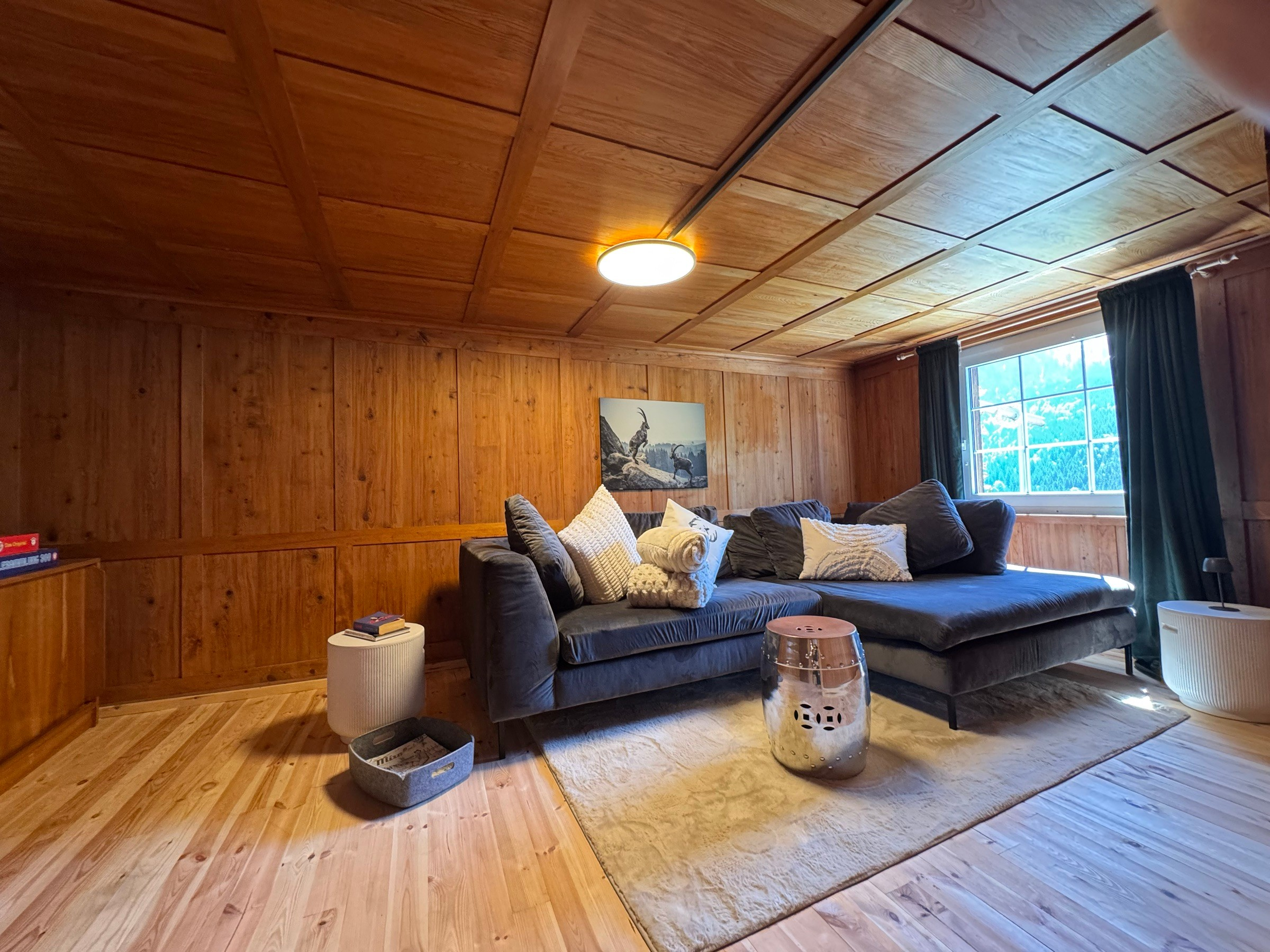 Panelled TV lounge with large grey corner sofa and ibex picture